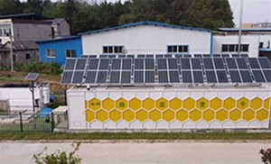 好氧池溶解氧下降的原因分析