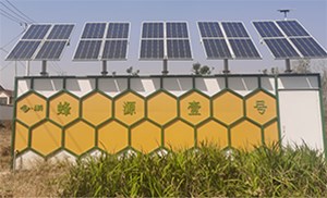 合肥太阳能曝气机-合肥太阳能曝气机-宝绿光电(价格实惠)