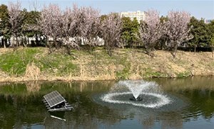 曝气池DO突然升高原因